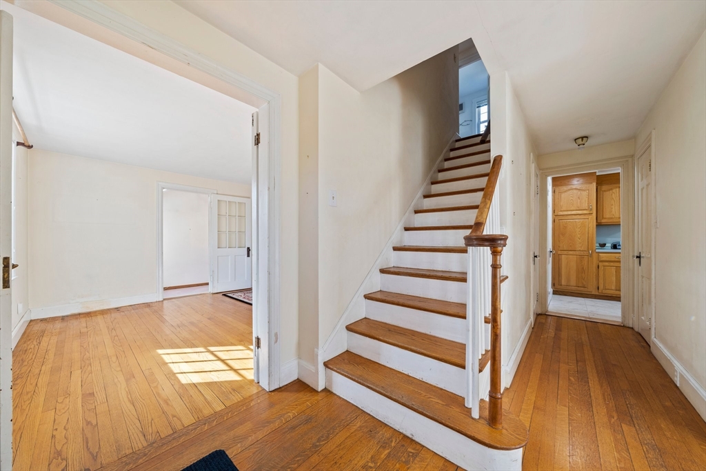19 Belcher St