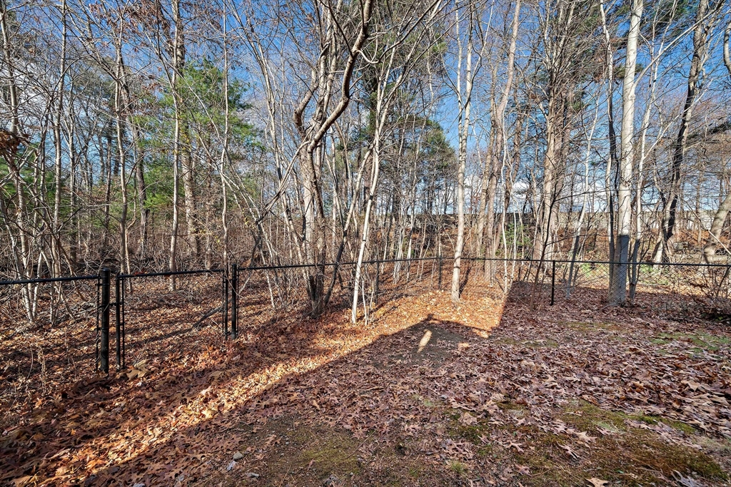 24 Woodland Rd