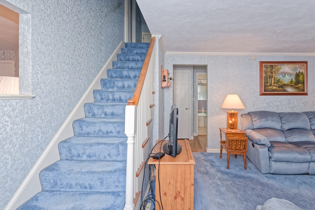 17 Blackman Rd