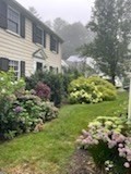 30 Birchtree Drive