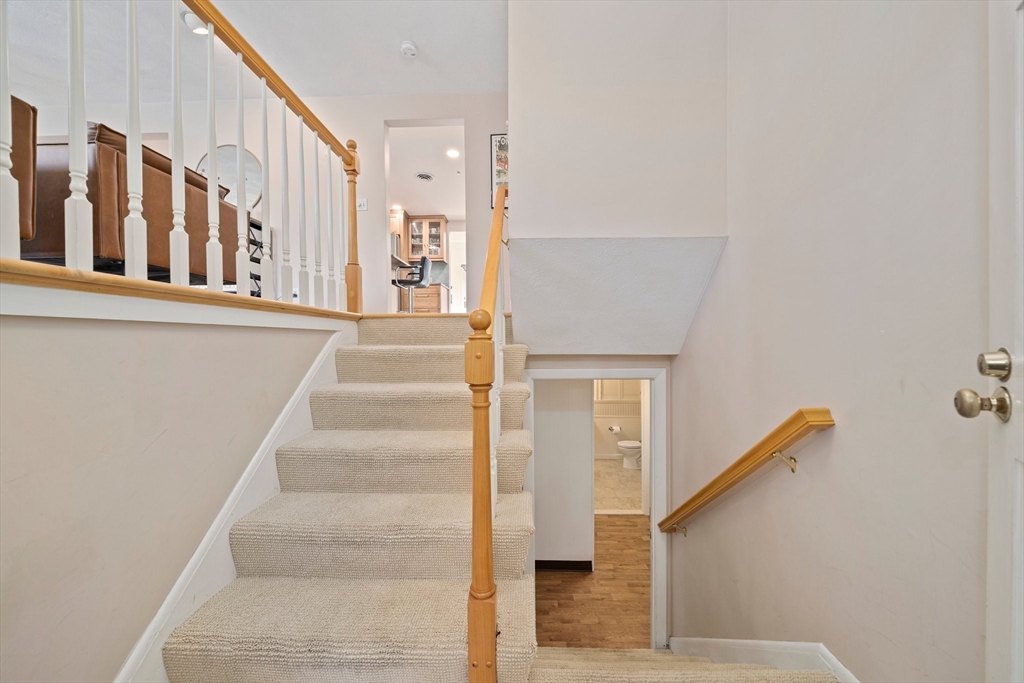20 Condor Rd