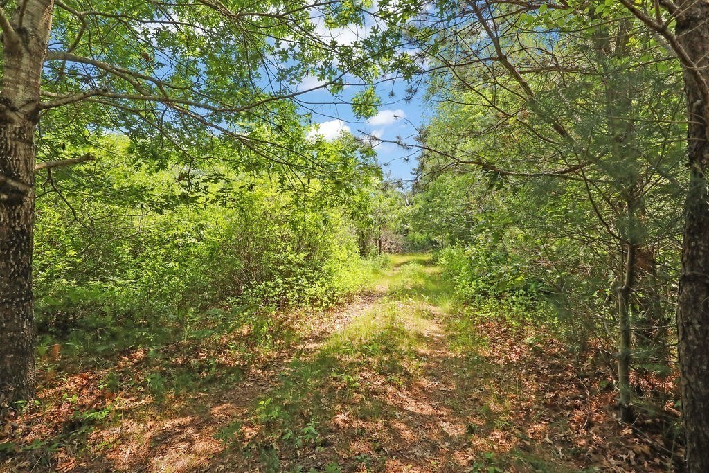 155 Glen Charlie Road