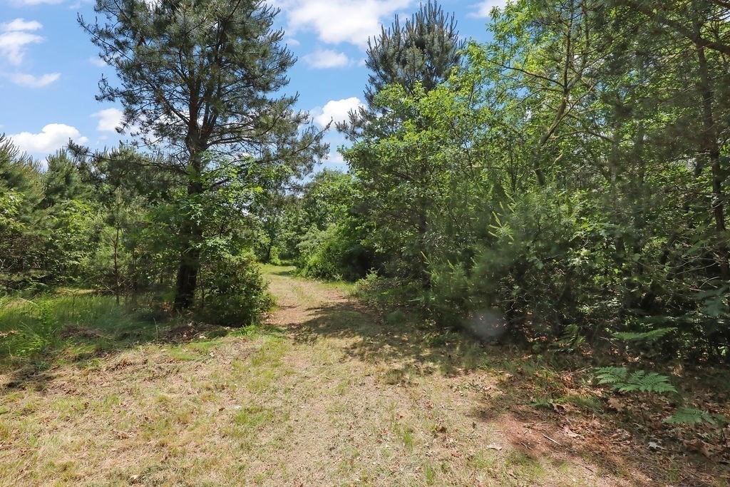 155 Glen Charlie Road