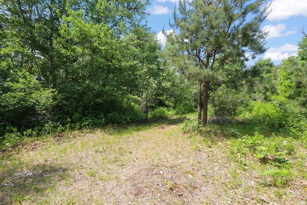 155 Glen Charlie Road