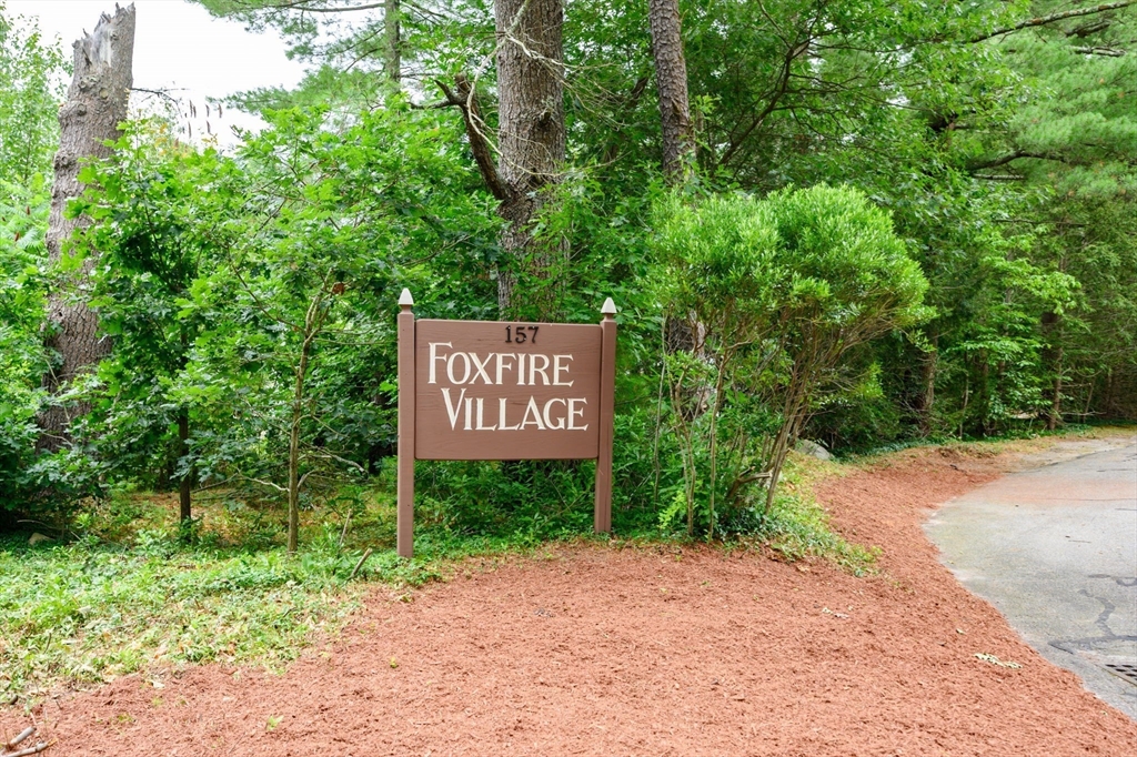 157 Chestnut Street # 5