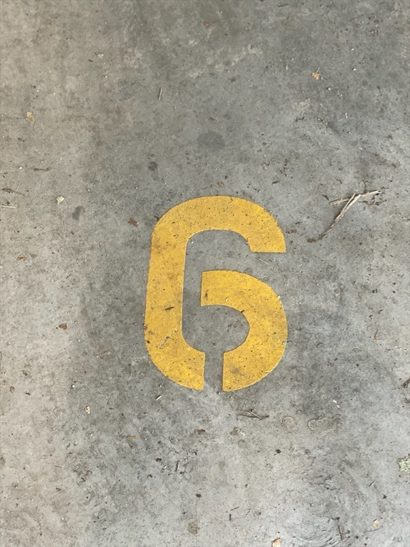 67-69 Cummins Hwy # 101