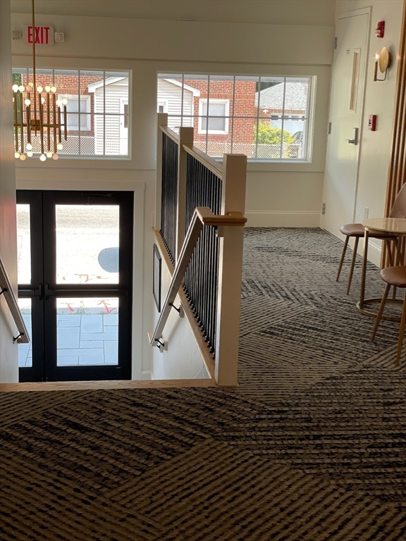 67-69 Cummins Hwy # 101