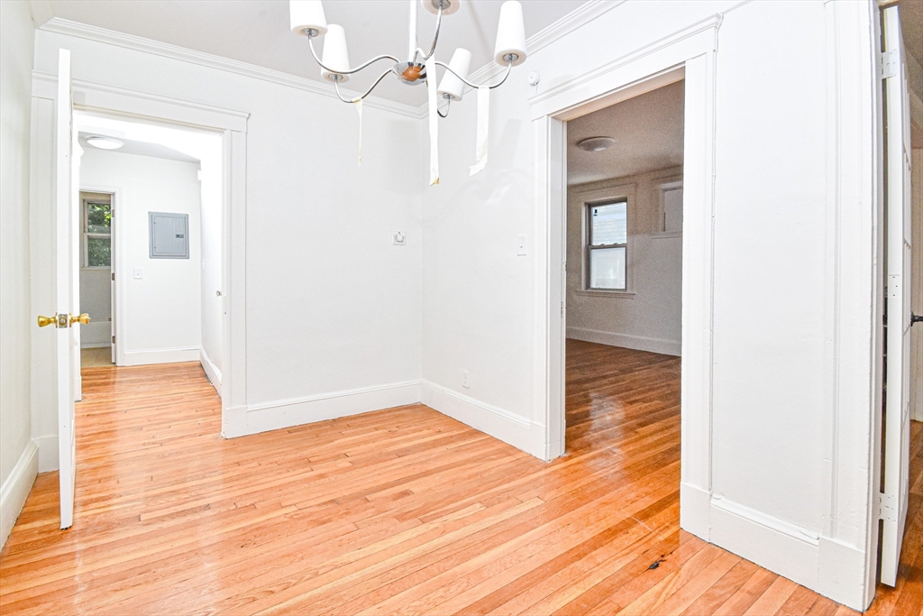 19 Ronan St # 3