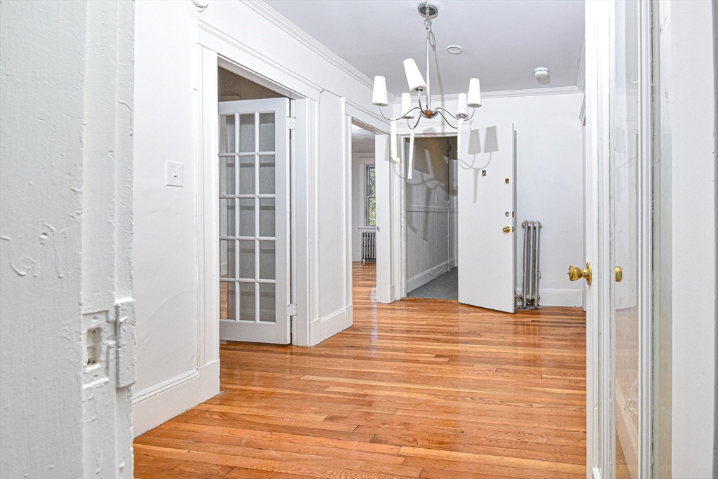 19 Ronan St # 3