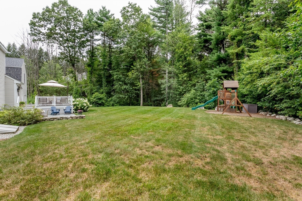 37 Daniels St