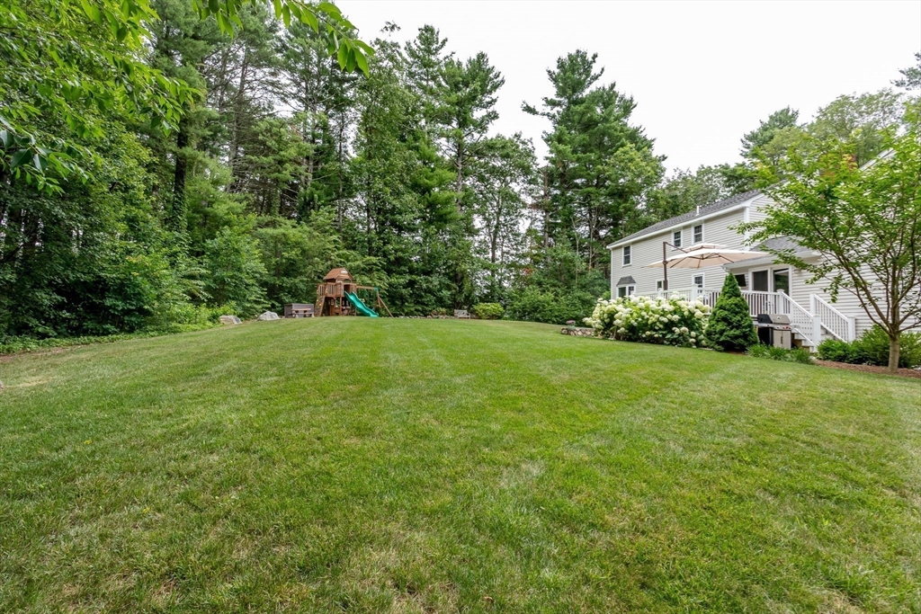 37 Daniels St