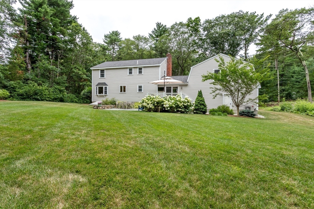 37 Daniels St