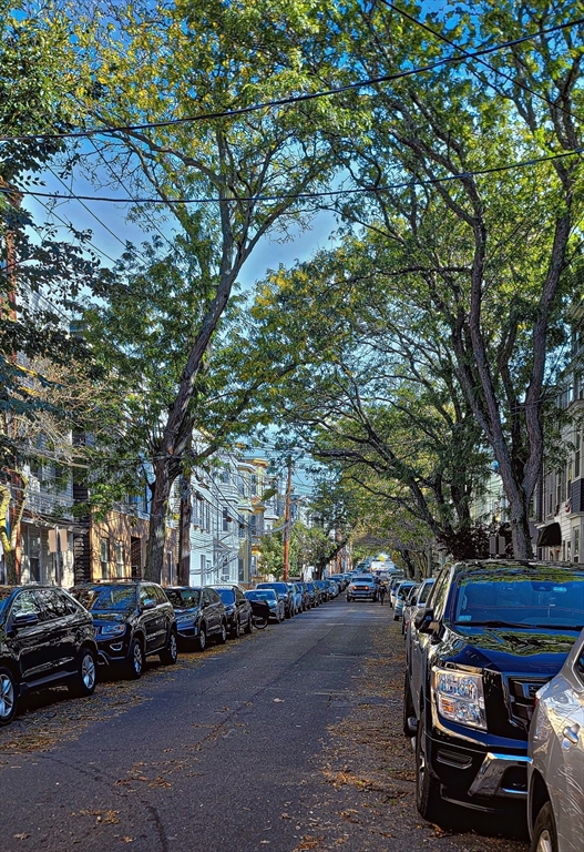 61 Webster St # 3, Boston Unit: 3