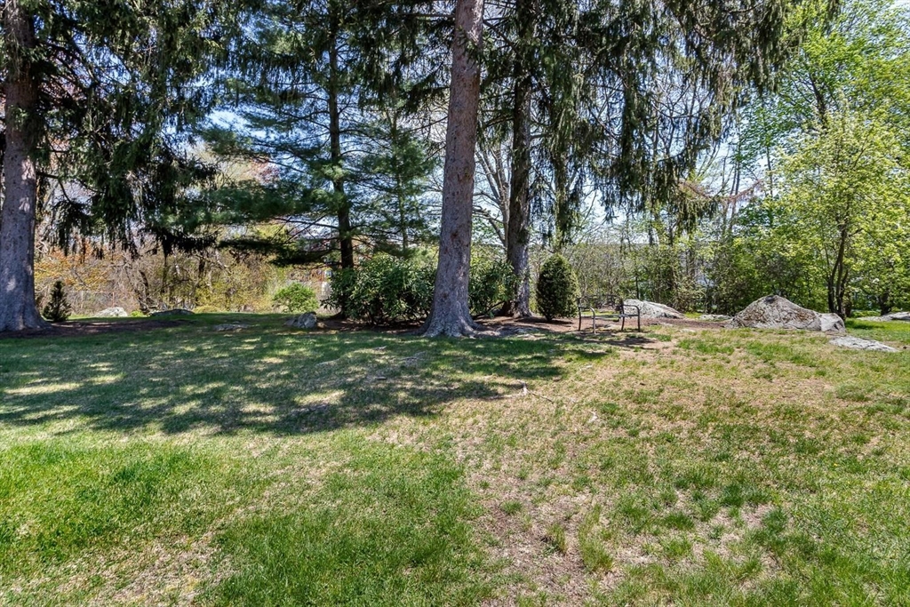 215 Neponset # 215