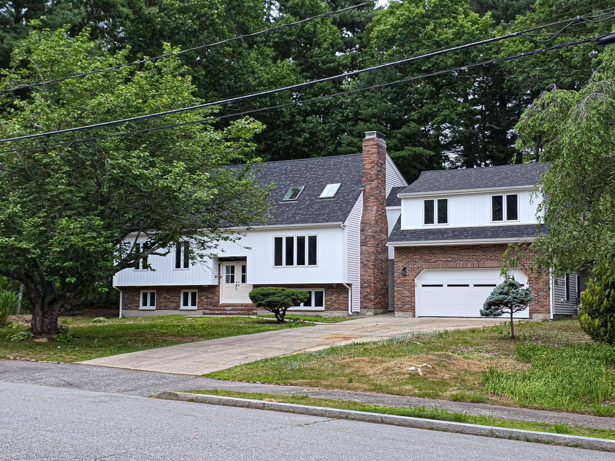 41 Kenneth St