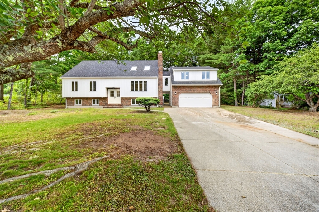 41 Kenneth St