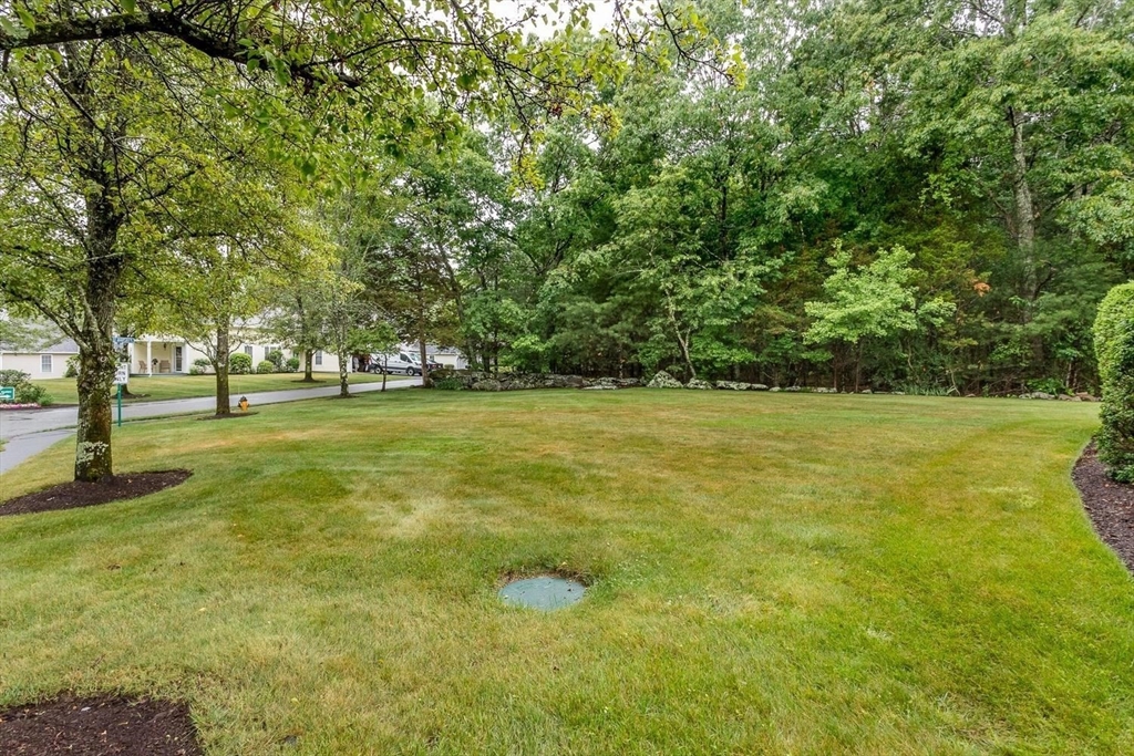 83 Kathleen Grant Rd