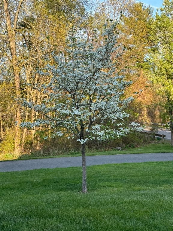 14 Orchard Ln