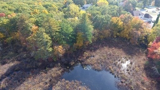 Small pond amid autumn woodland, with buildings visible beyond the trees.