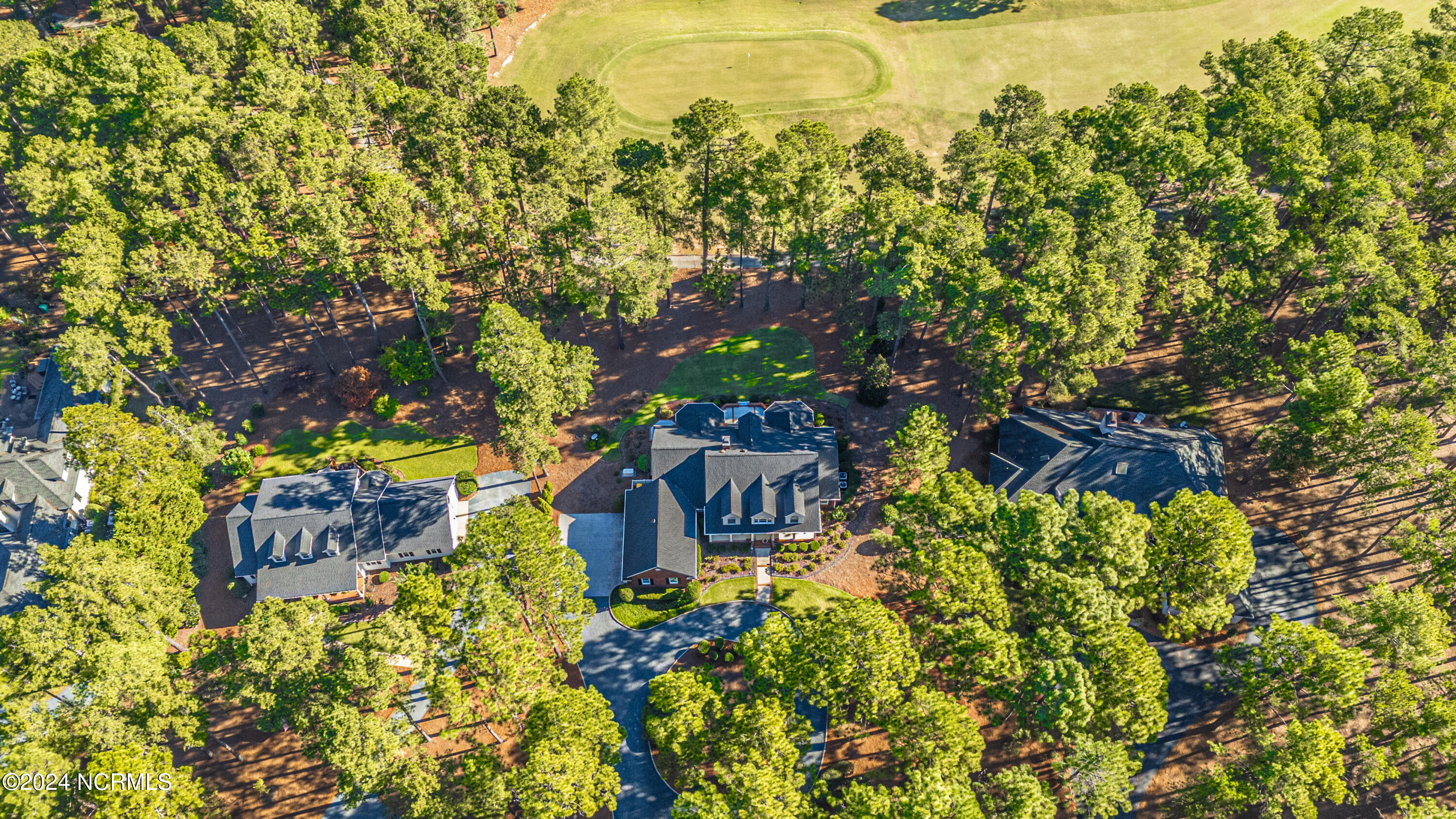 41 Mcmichael Drive