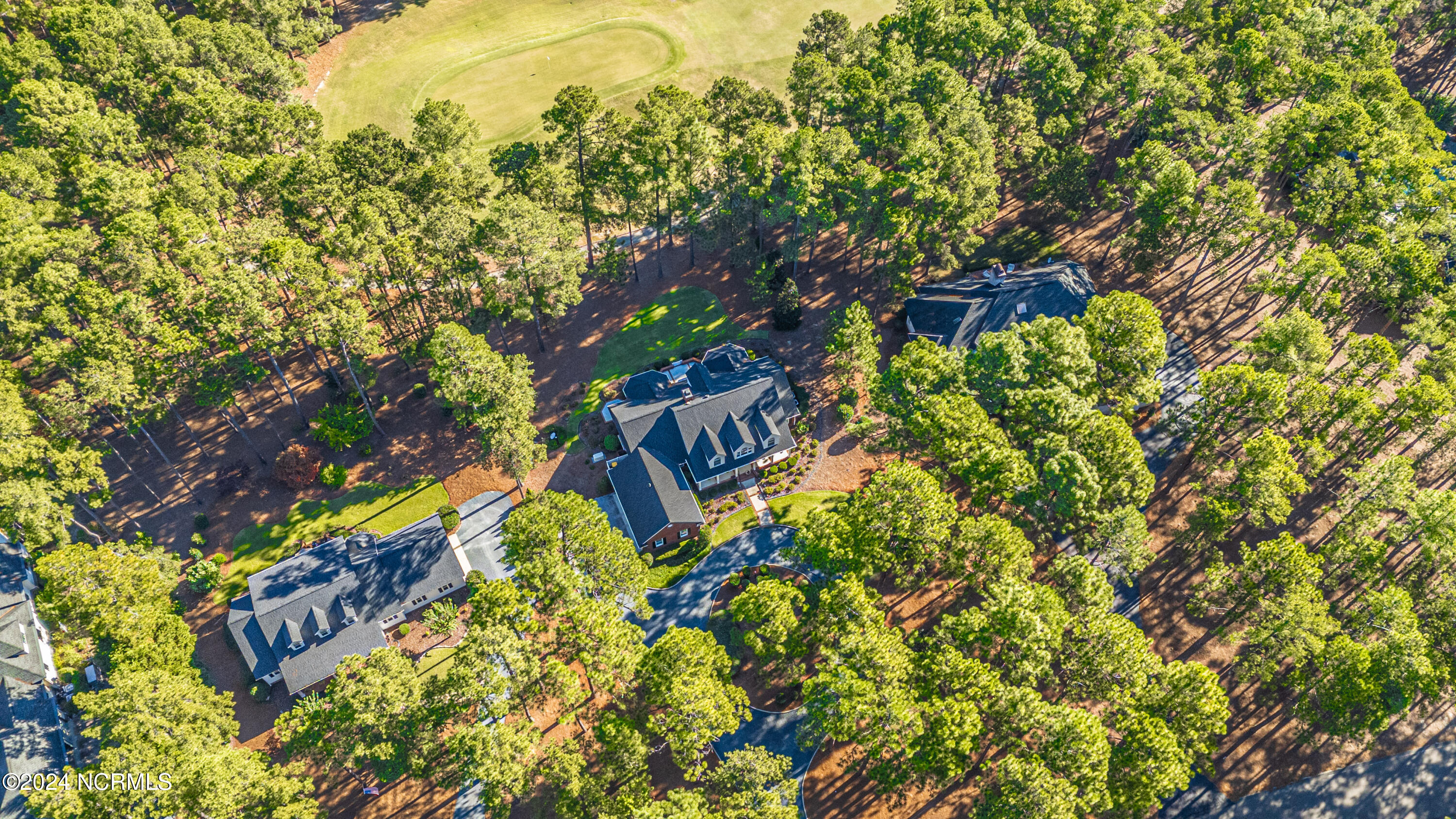 41 Mcmichael Drive