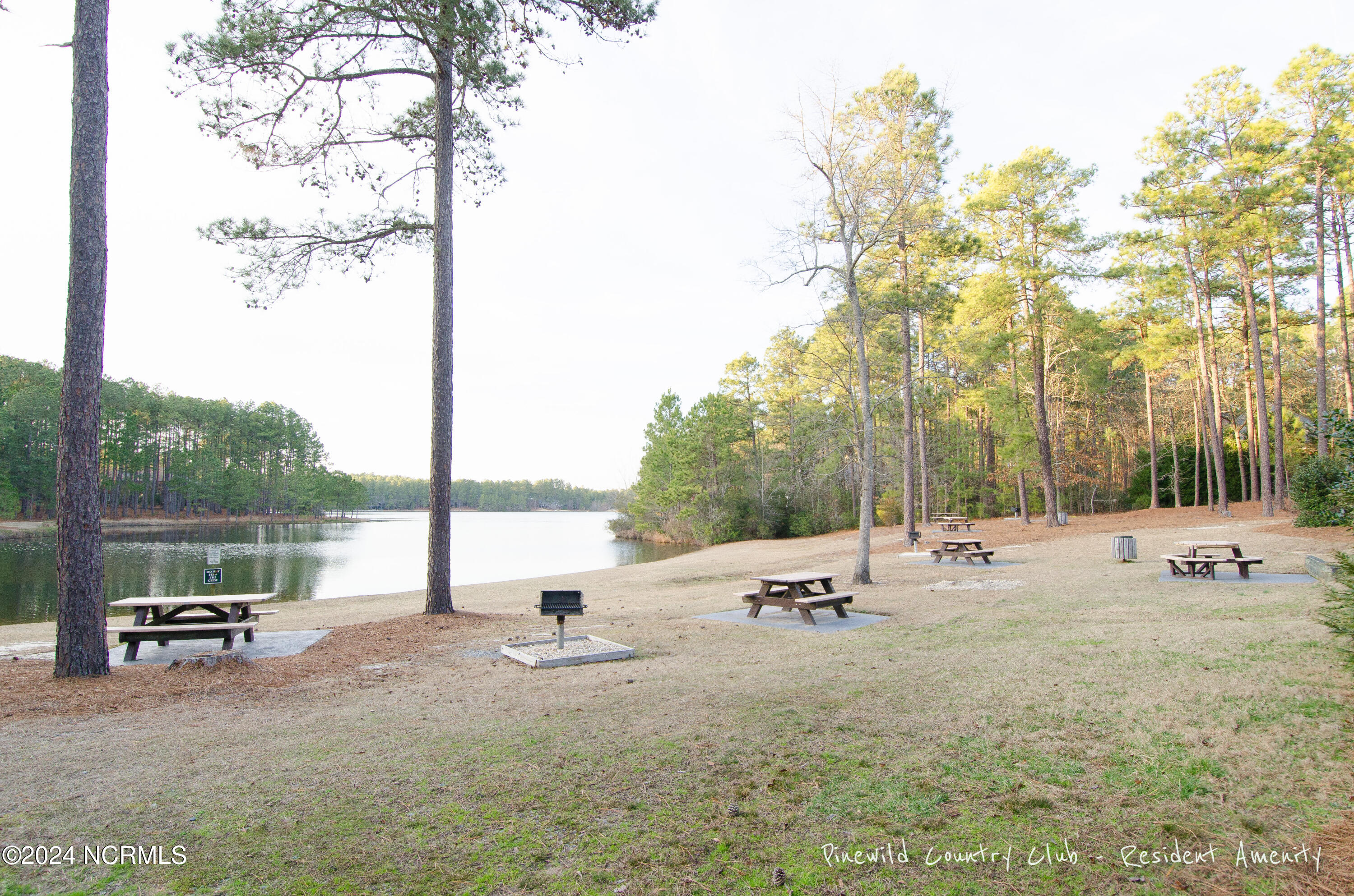 41 Mcmichael Drive