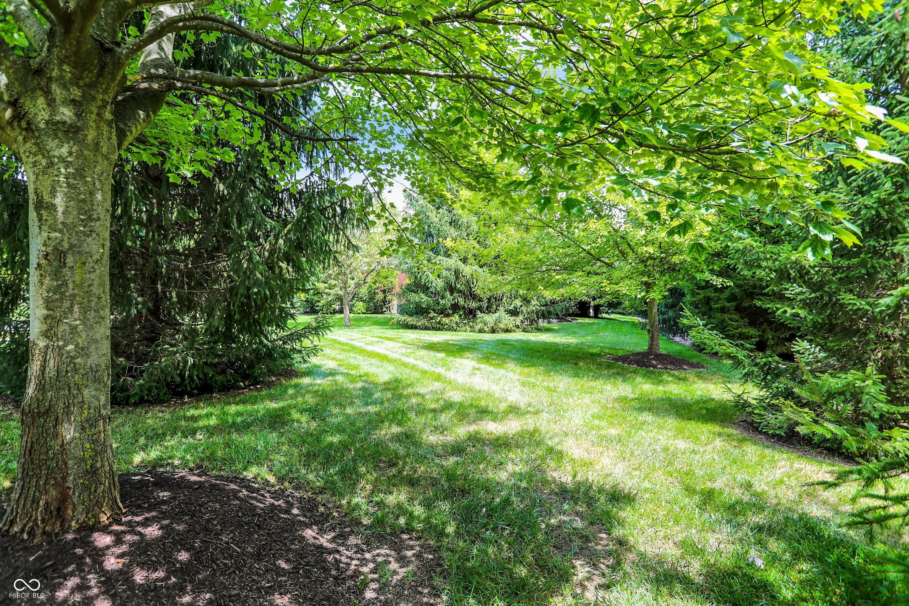 9811 Buttondown Lane