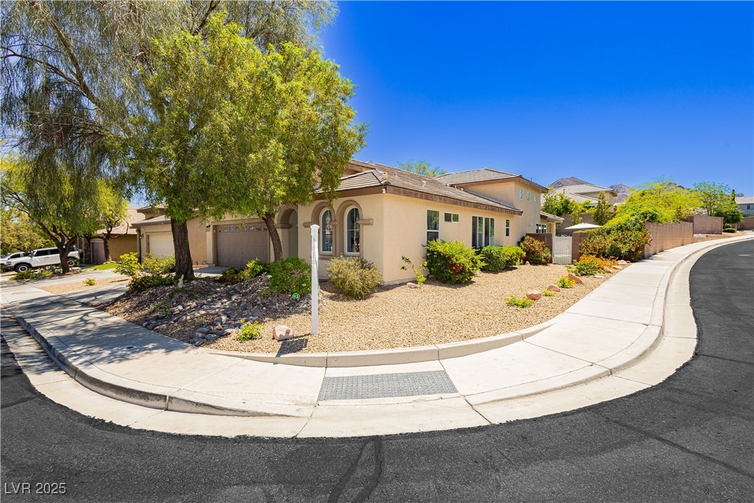 145 Austin Rose Avenue