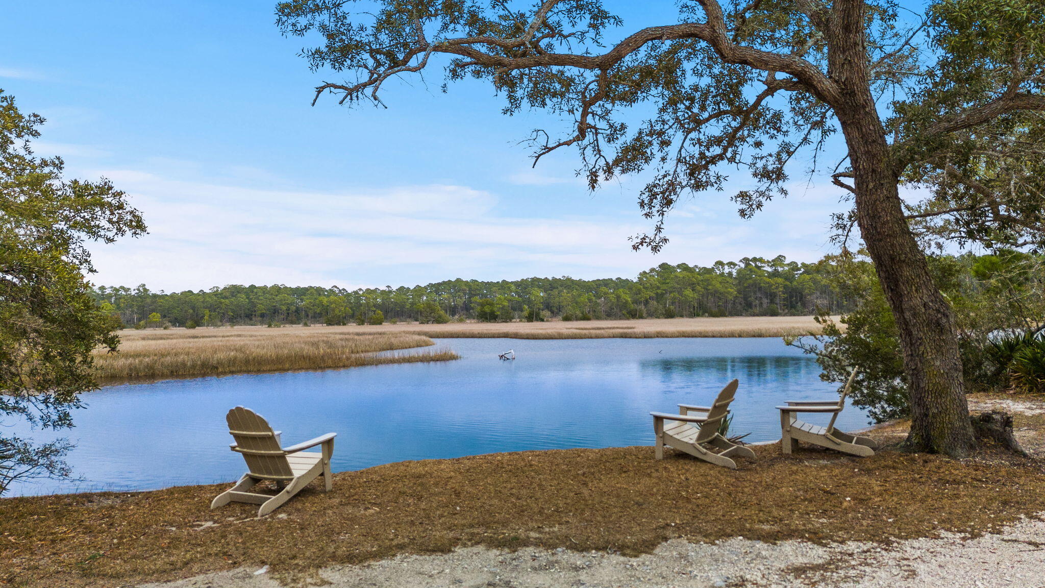 6331 Turkey Cove Lane