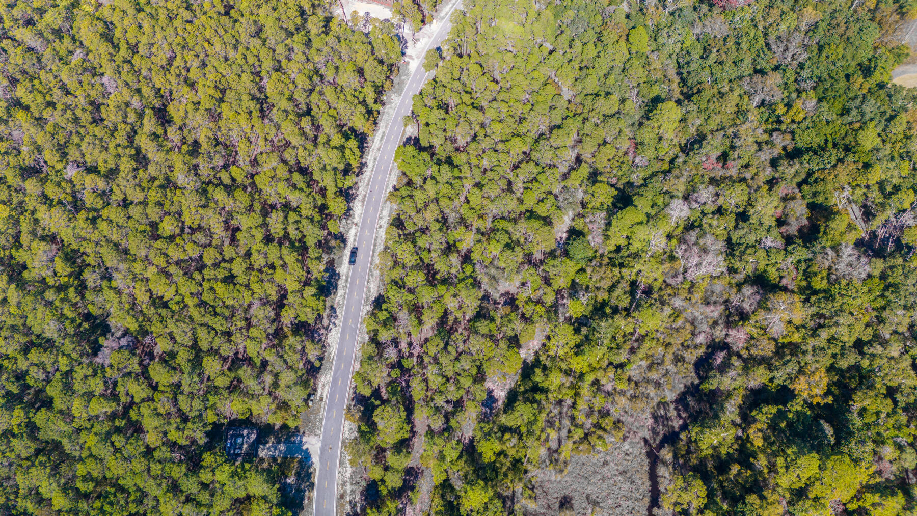 1743 Lost Cove Lane