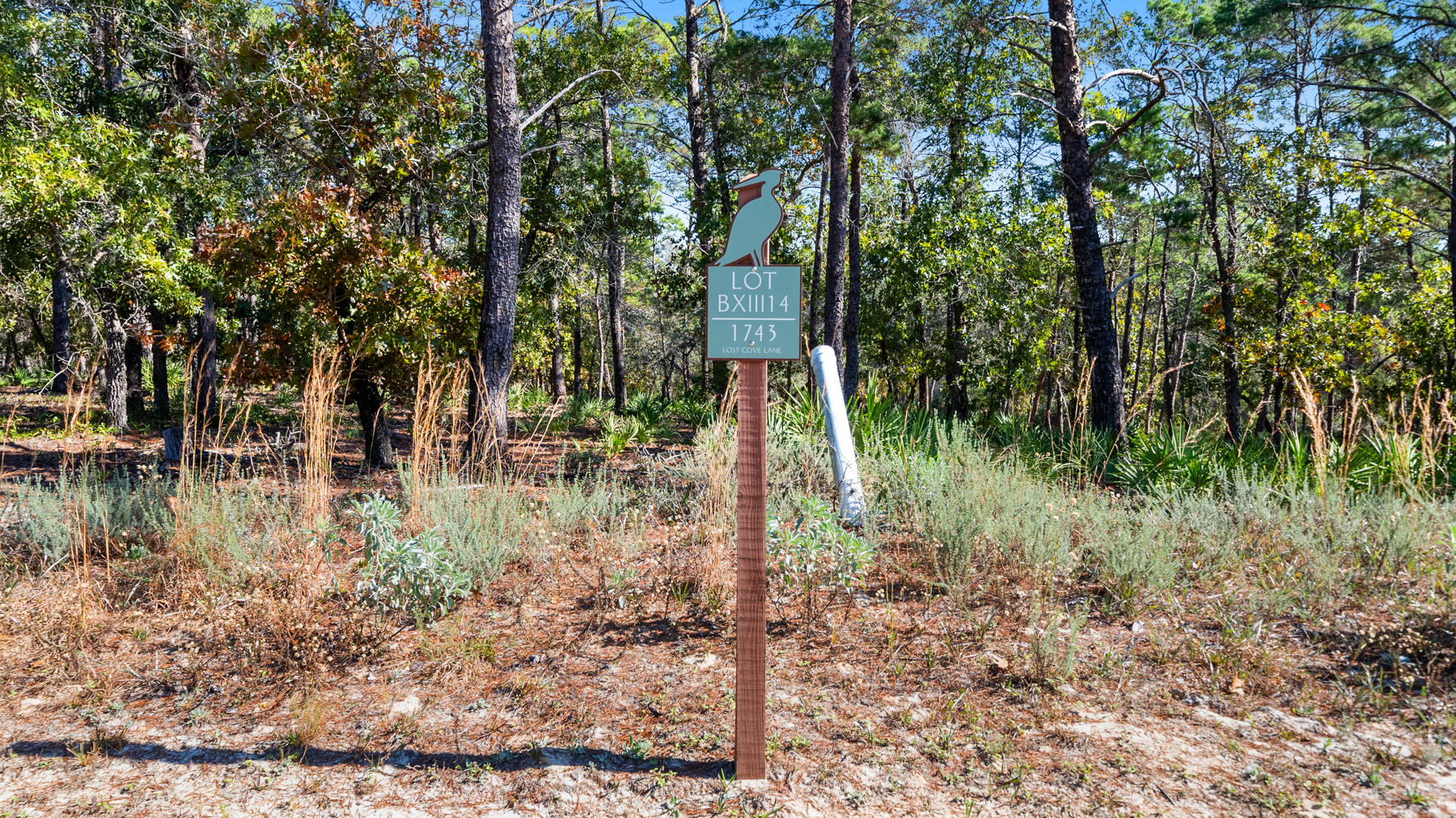 1743 Lost Cove Lane
