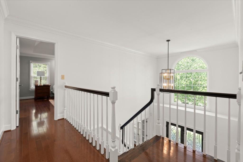 3354 Pommel Place