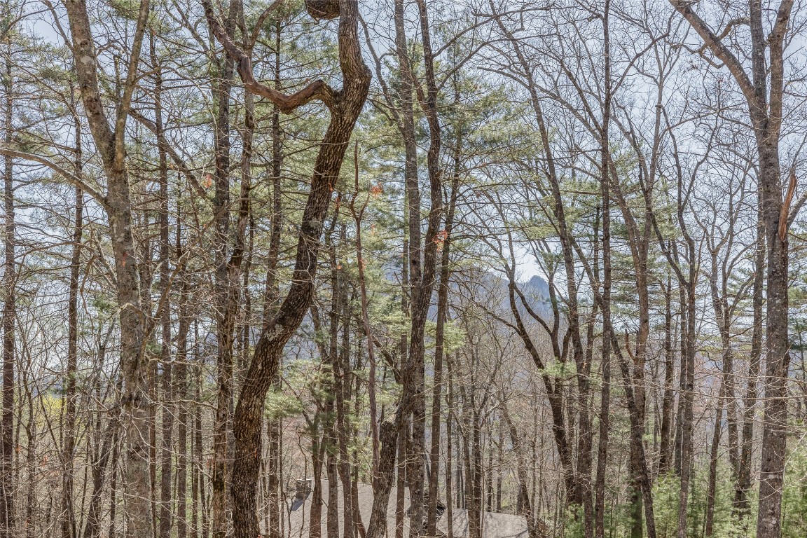 649 Wild River Road