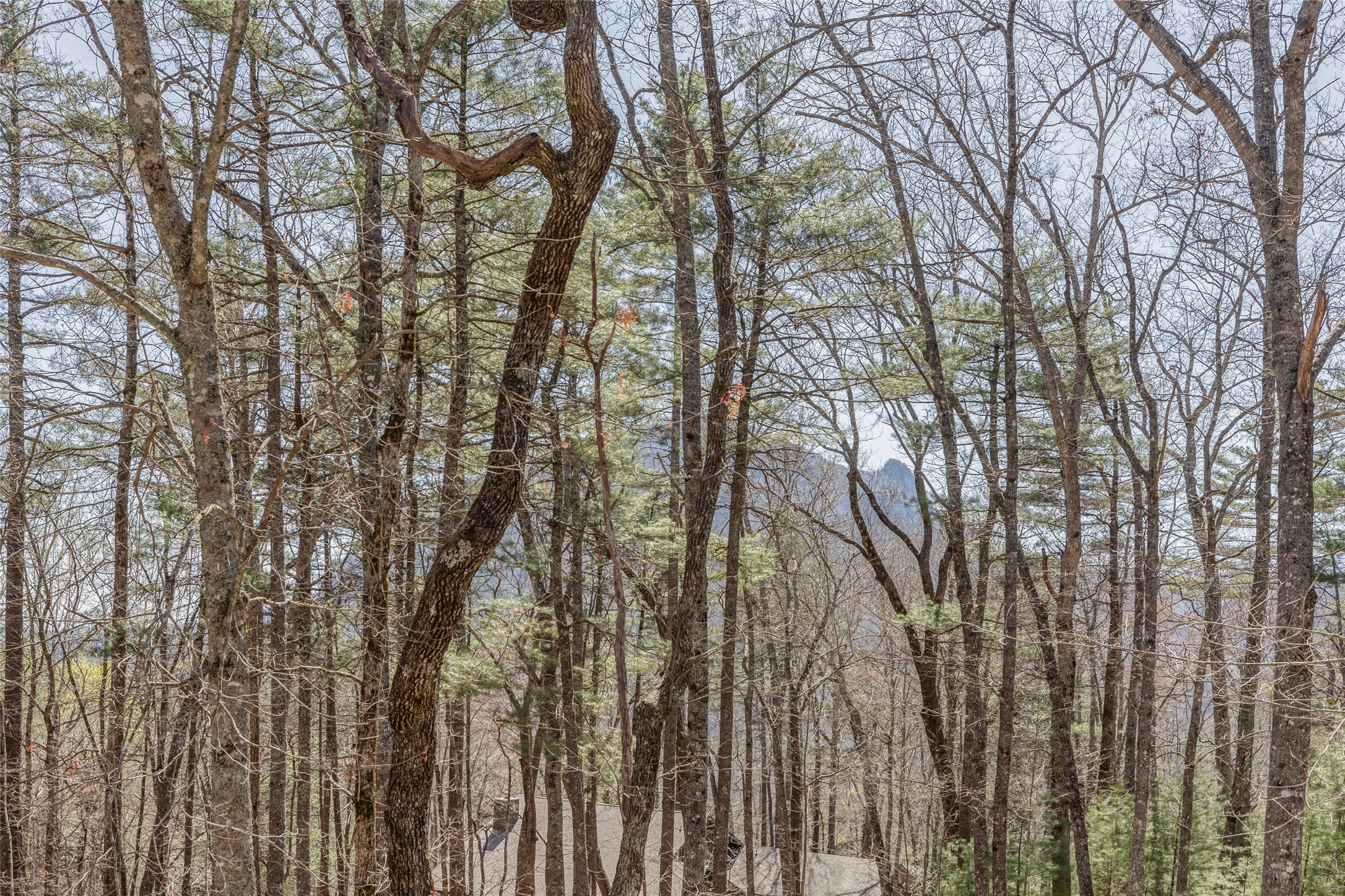 649 Wild River Road