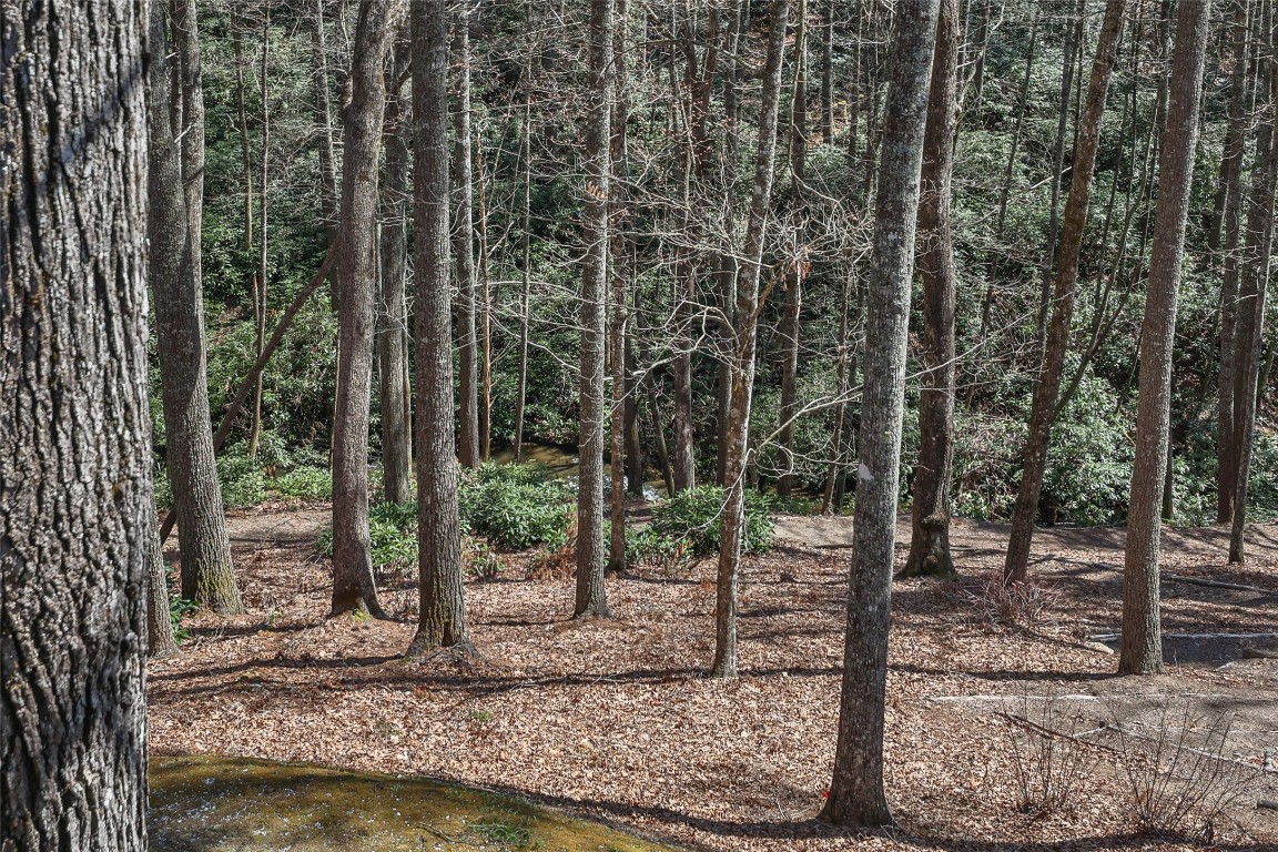649 Wild River Road