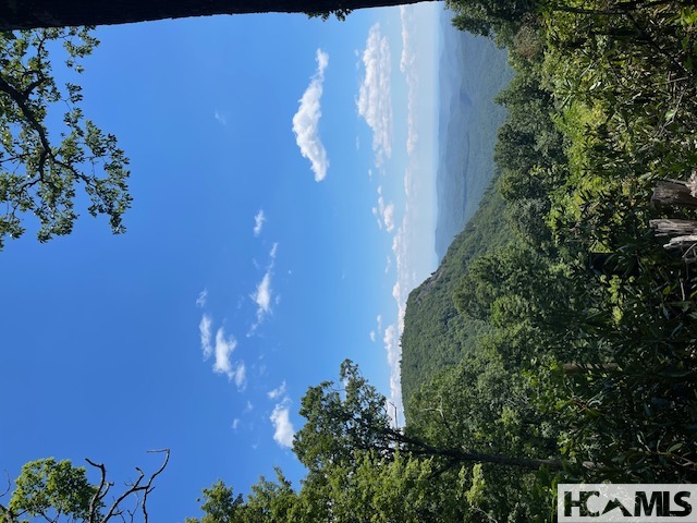 478 Hickory Knut Gap Road