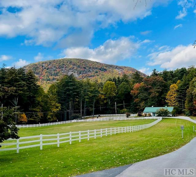 150 Old Logging Trail