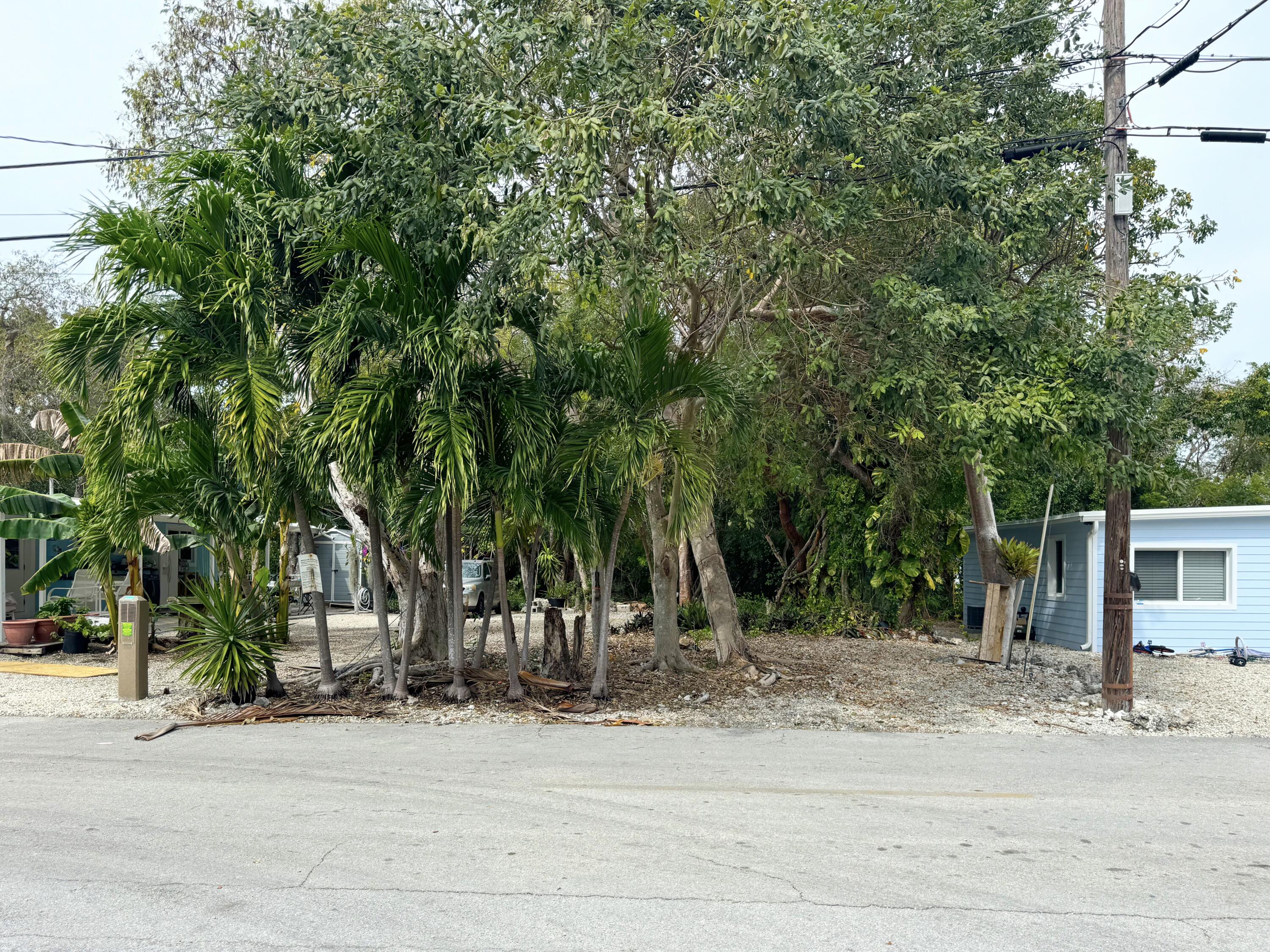 50 Oleander Drive