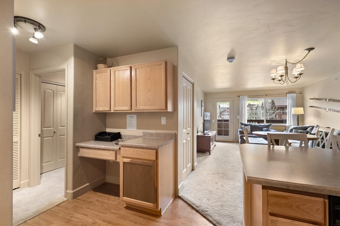 2525 Cattle Kate CIRCLE 4305