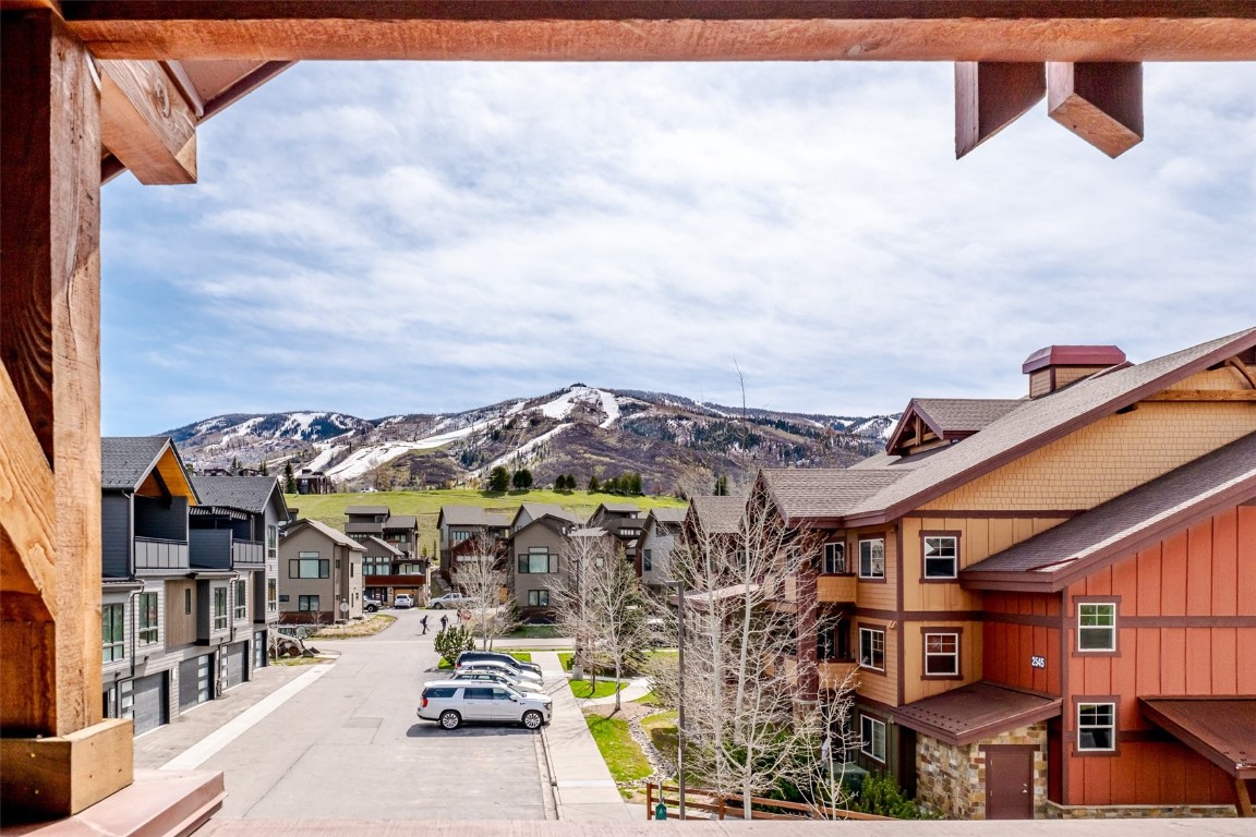 2525 Cattle Kate CIRCLE 4305