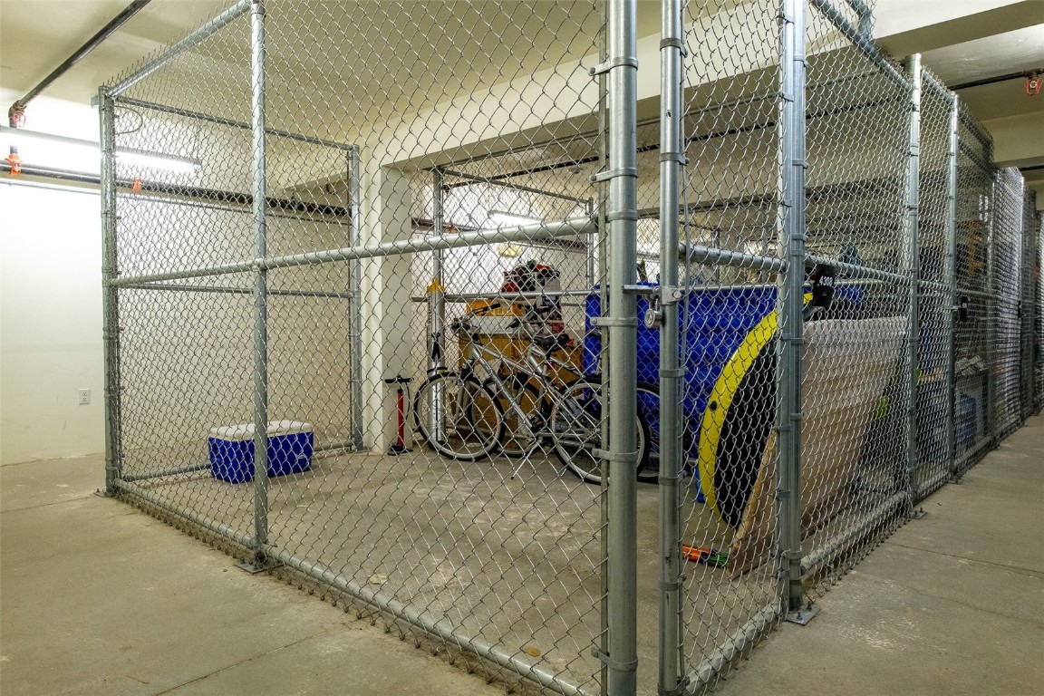 2525 Cattle Kate CIRCLE 4305