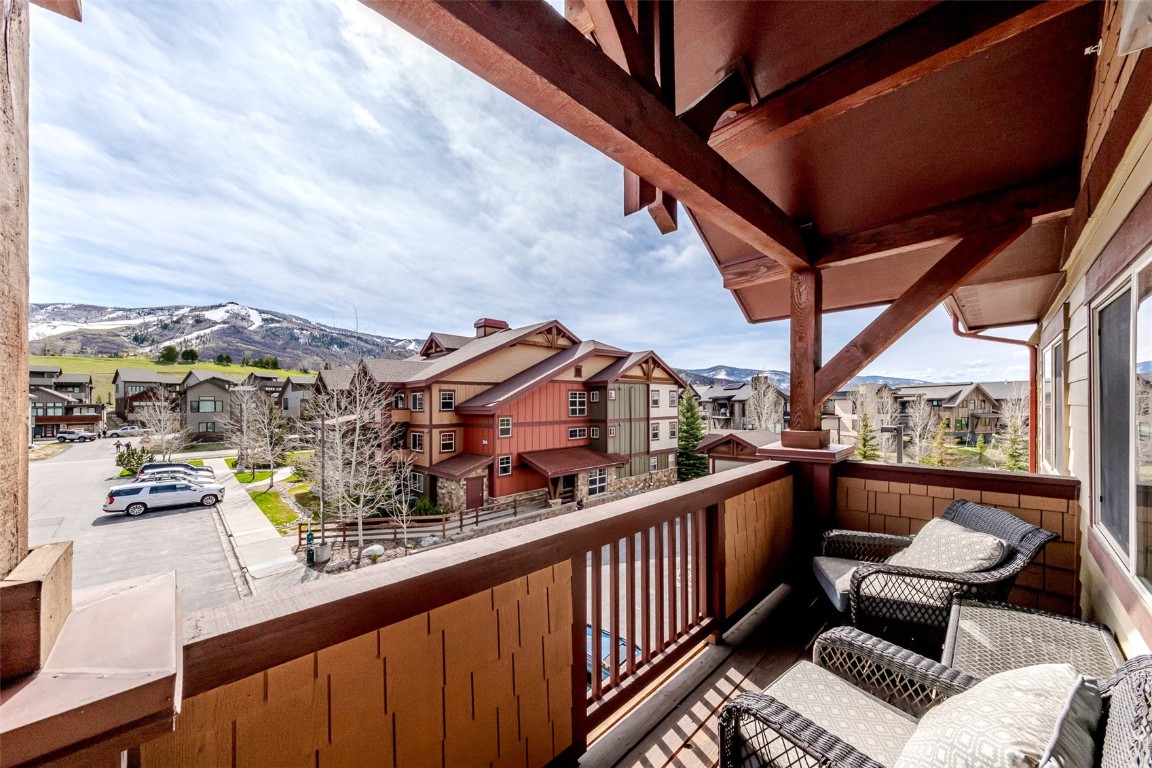 2525 Cattle Kate CIRCLE 4305