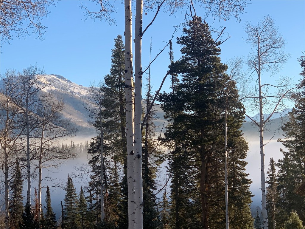 59335 Cripple Creek COURT