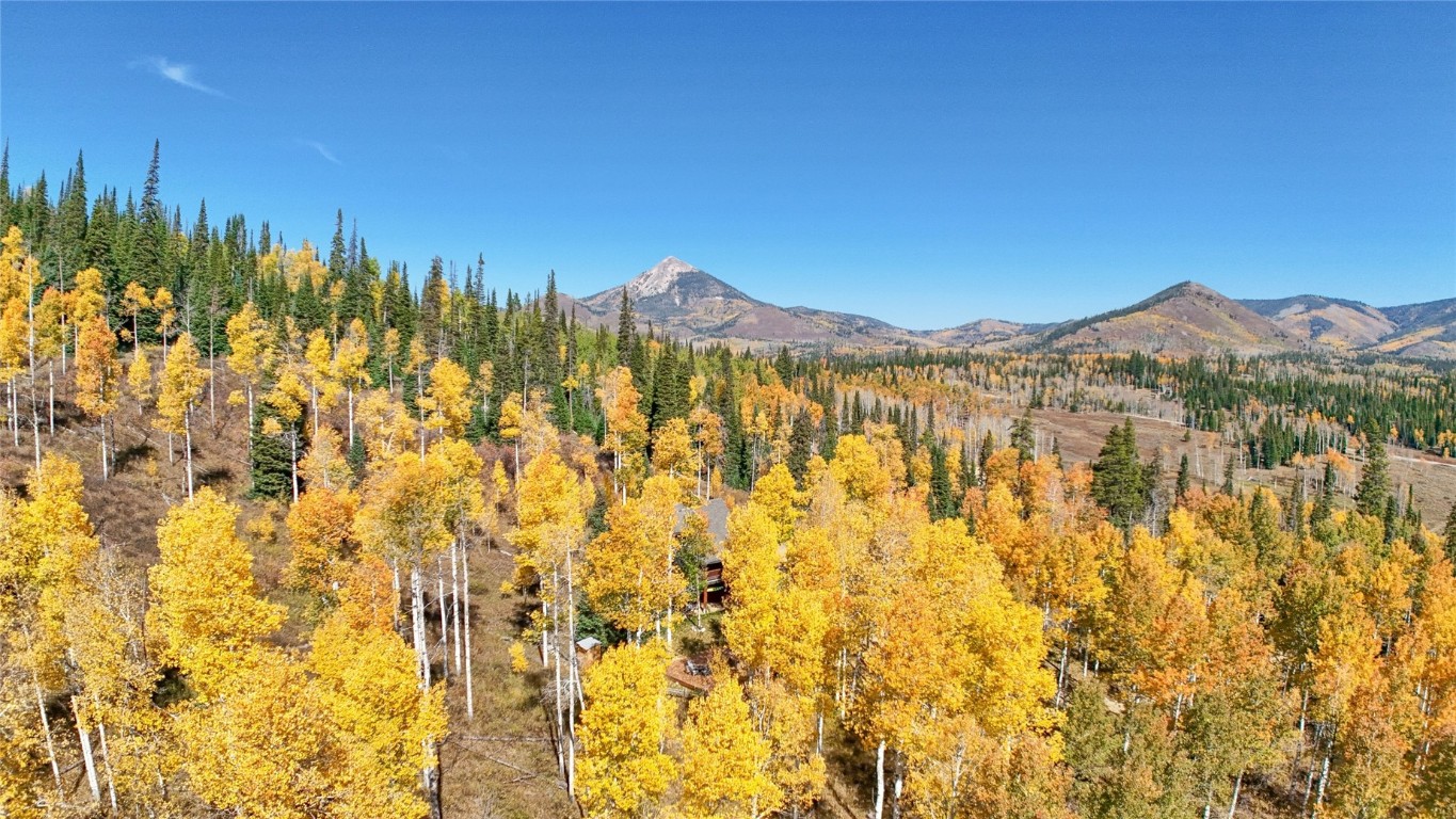 59335 Cripple Creek COURT