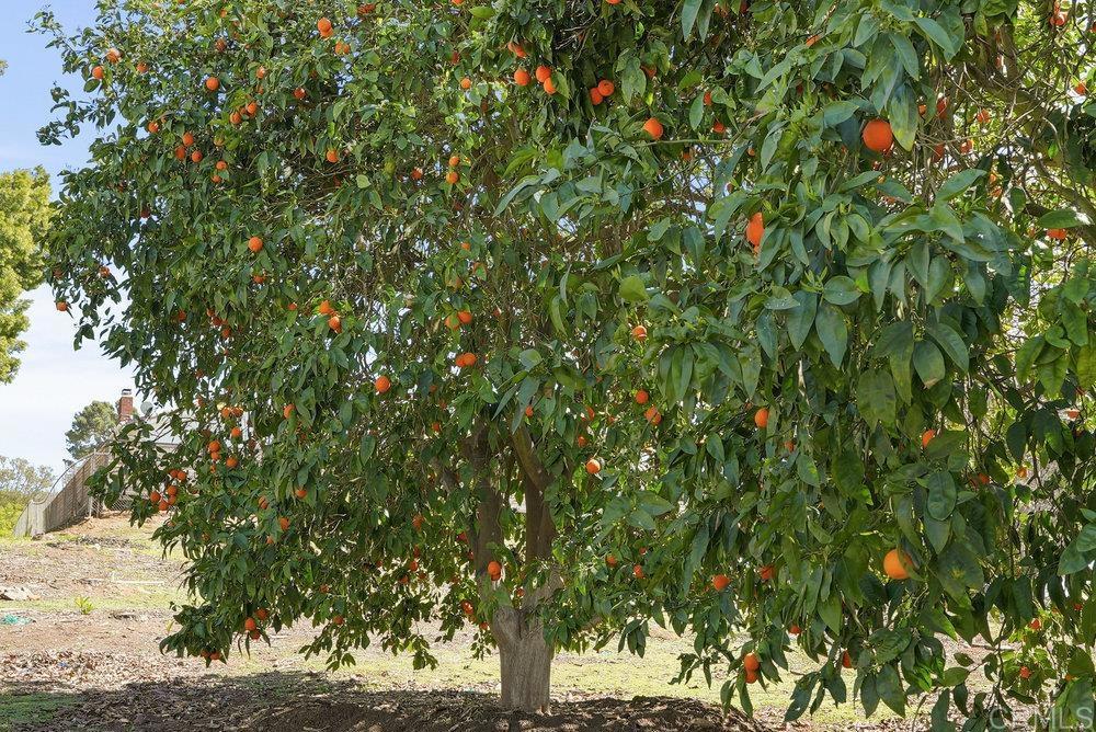 1520 Via Rancho Parkway