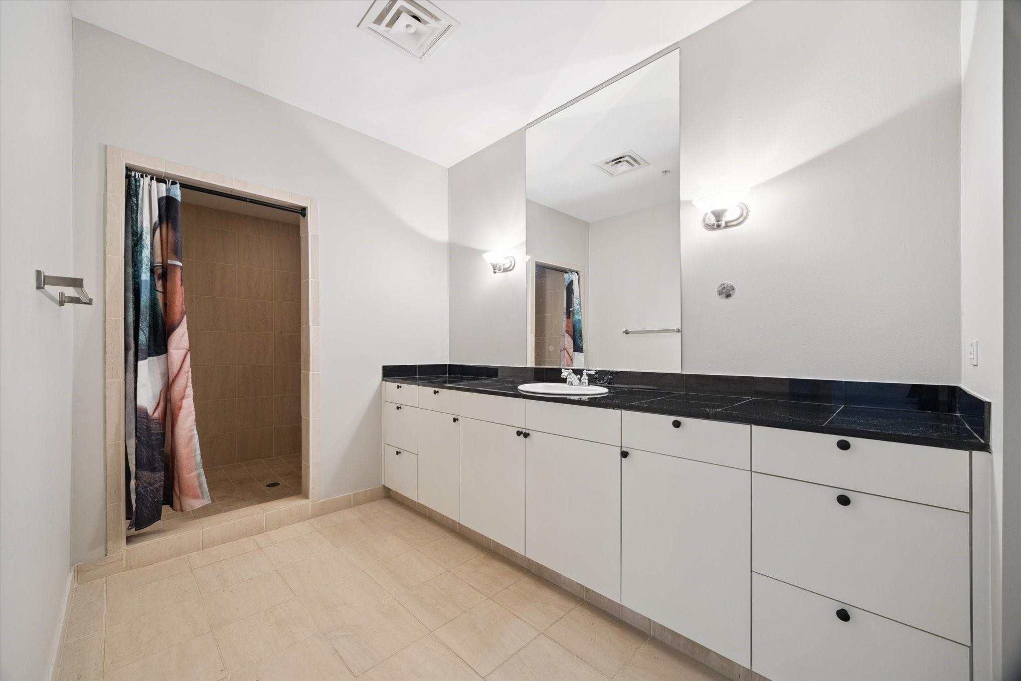 1401 Calumet Street # 500, Houston Unit: 500