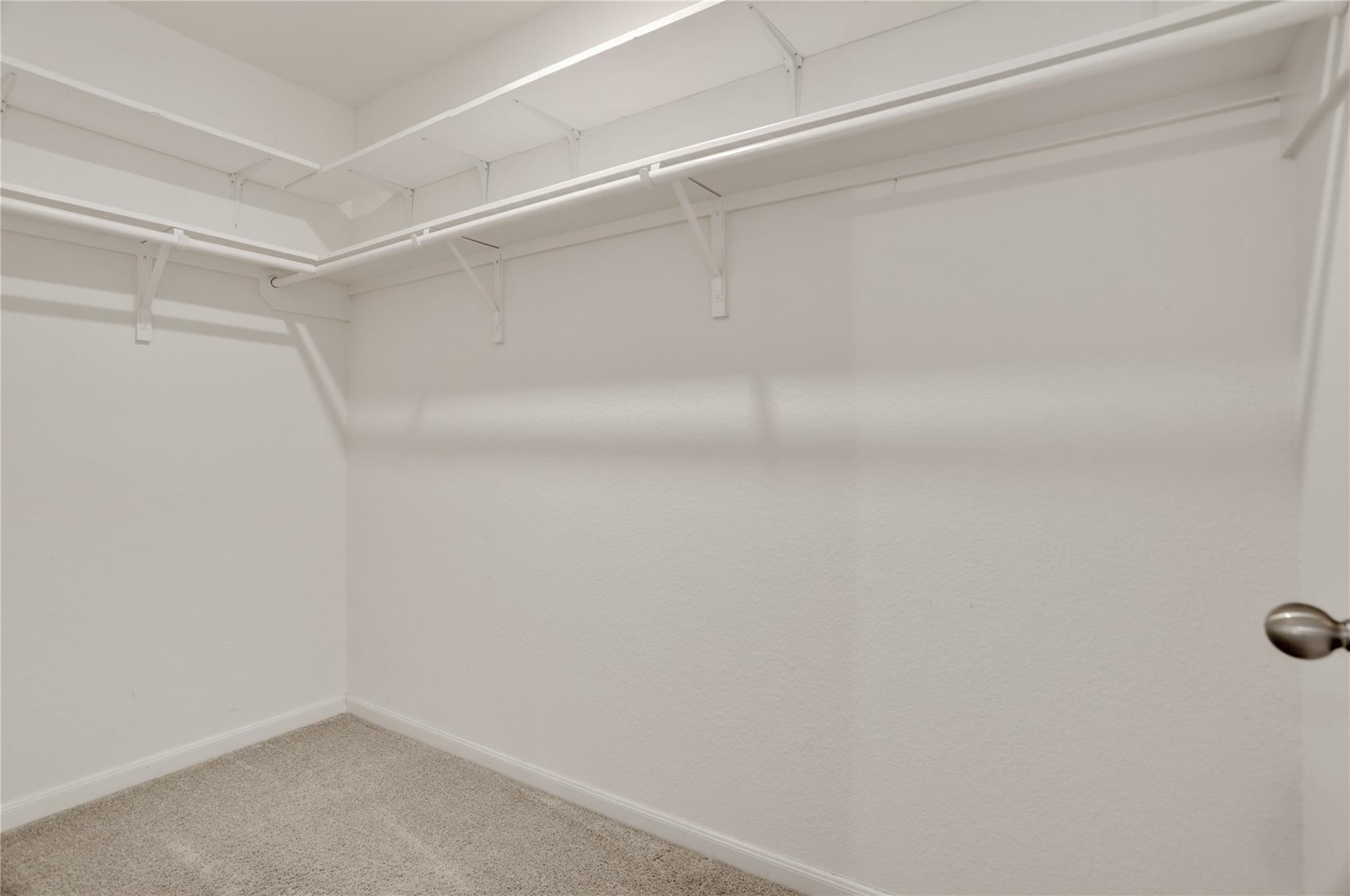 25514 Reign Wayman Court