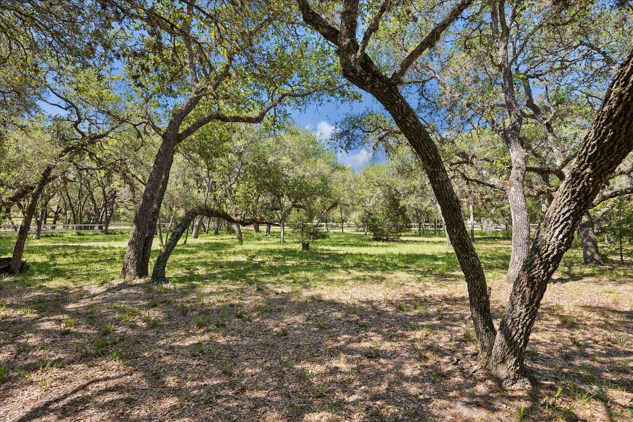 302 Bluebonnet Bend