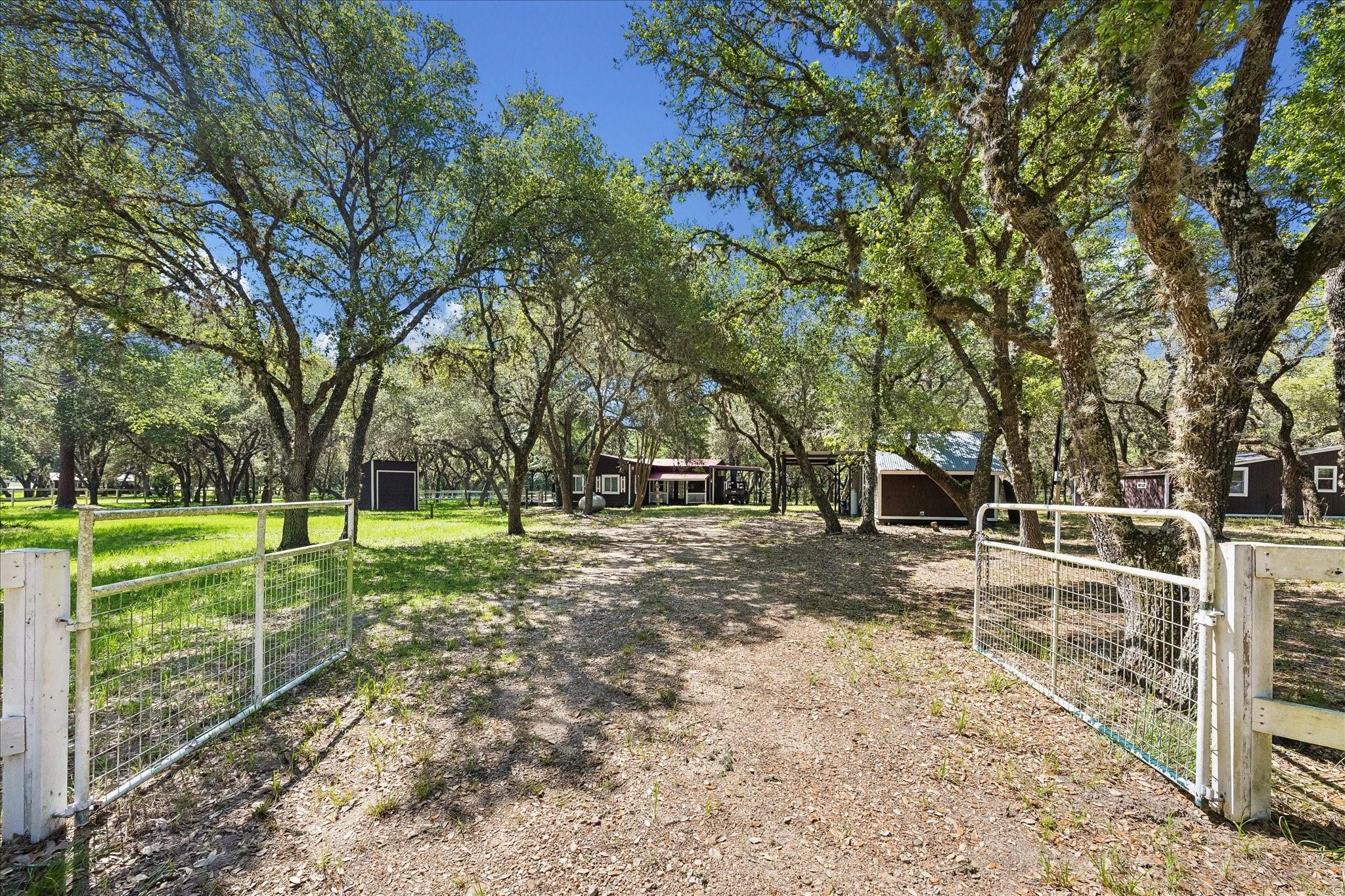 302 Bluebonnet Bend