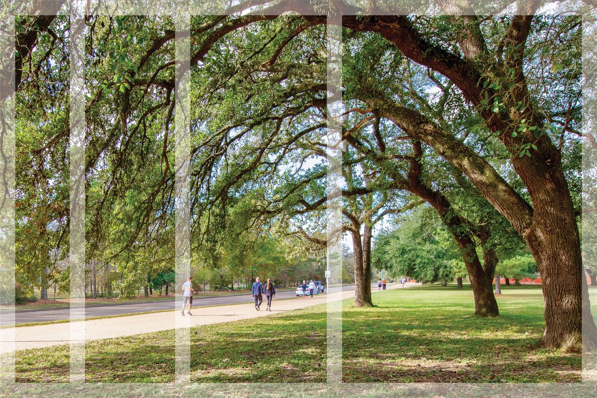 1611 Mcdonald Street